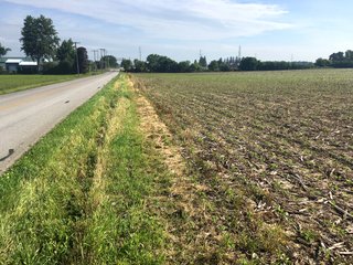 Whitley County, Indiana farmland - LAND AUCTION - 156+/- ACRES OFFERED IN 5 TRACTS IN WHITLEY COUNTY, INDIANA